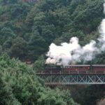 Ολυμπιακός: Τα επιτεύγματα των ερυθρολεύκων και του Ελ Κααμπί με την πρόκριση στον τελικό