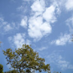 Ο Παυλίδης έκρινε το ντέρμπι της 3ης θέσης στην Eredivisie για το Champions League