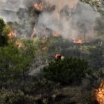 Σκέρτσος: Αδίστακτος, θρασύς και επικίνδυνος, ο Στ. Κασσελάκης