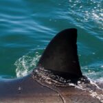 Κικίλιας από Πεντέλη: Προχωρούν οι καθαρισμοί σε περιοχές υψηλής επικινδυνότητας