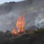 Φραγμός στις «ελληνοποιήσεις» ΠΟΠ προϊόντων με νομοσχέδιο του Υπουργείου Αγροτικής Ανάπτυξης