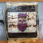 Βράβευση της DEMO από την Ελληνική Νεφρολογική Εταιρεία Νοσηλευτών Αλεξία Σωτηρίου