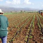 To σχέδιο Μακρόν για δημιουργία ευρωπαϊκών επιχειρηματικών «champions» – Νέο χρηματοπιστωτικό κέντρο το Παρίσι