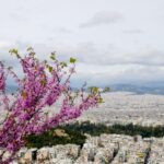 Ανεβάζει στροφές η ΝΔ τρεις εβδομάδες πριν από τις κάλπες – Πυρά Μητσοτάκη κατά ΣΥΡΙΖΑ – Η εθνική γραμμή για το Σκοπιανό