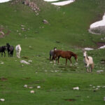 Αθήνα και Άγκυρα για το τετ α τετ Μητσοτάκη – Ερντογάν: «Πνεύμα καλής θέλησης και συνεργασίας»