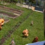 Η μητέρα της Κυριακής είναι στο ψυχιατρείο και «ο δολοφόνος προστατεύεται» – Βλέπει βίντεο με τη γυναικοκτονία και φωνάζει «τρέξε»