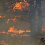 Ολυμπιακός: Ο Ροντινέι παραμένει προσγειωμένος, συνεχίζει να ονειρεύεται και να παλεύει