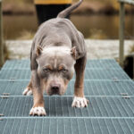 Άγριο ξύλο μεταξύ οδηγών στη Θεσσαλονίκη – Δείτε βίντεο