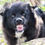 Κωστής Χατζηδάκης: Ελλάδα και Κύπρος ξεπερνούν την οικονομική κρίση της τελευταίας δεκαετίας