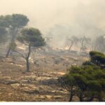 Πανελλαδικές Εξετάσεις 2024: Στην τελική ευθεία – Το πρόγραμμα για ΓΕΛ, ΕΠΑΛ και ειδικά μαθήματα