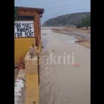 «Αυτοκτονικές τάσεις παρουσίασε η μητέρα της Κυριακής Γρίβα», λέει η δικηγόρος της οικογένειας