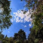 Τα ονόματα που γιορτάζουν σήμερα – Μην ξεχάσετε να τους πείτε «χρόνια πολλά»