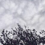 Έμερι: “Σεβόμαστε τον Ολυμπιακό, είναι διασκεδαστικό να παίζεις στην Ευρώπη”