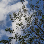 Πάνος Καμμένος: «Πριν 19 λεπτά μπήκα στα 60»