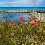 Εορτολόγιο: Ποιοι γιορτάζουν σήμερα 22 Μαΐου