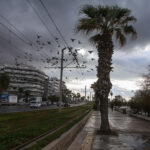 Σε κρίσιμη κατάσταση νεαρός στην Κοζάνη που ήπιε φυτοφάρμακο