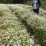 Φωτιά σε τουριστικό λεωφορείο στο Χαϊδάρι – Έκλεισε δρόμος