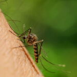 Σδούκου: Στόχος μας, ο πολίτης να έχει πρόσβαση σε άφθονη, φθηνή, πράσινη ενέργεια