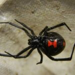 Σε σήραγγα της Εγνατίας βρέθηκε ο Νίκος Ταχιάος – Επιθεώρηση μετά από περιστατικό με φωτιά σε νταλίκα