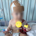 Στις φλόγες τέσσερα φορτηγά στο λιμάνι της Θεσσαλονίκης – Συναγερμός στην Πυροσβεστική