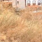 Σαν σήμερα 28 Μαΐου: Οι Ελληνίδες αποκτούν δικαίωμα ψήφου και εκλογής σε κλίμα απροθυμίας – «Ψήφο θέλουν μόνο οι άσχημες και όσες αποφεύγουν να κάνουν παιδιά»