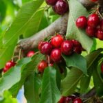 Χρυσοχοΐδης: Καθημερινά συλλαμβάνονται 50 άνδρες για ενδοοικογενειακή βία