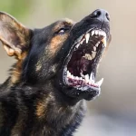 «Το πήρα αγκαλιά και δεν κουνιόταν» – Συντετριμμένη η μητέρα του βρέφους που πέθανε στη Θήβα