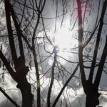 Ανάσταση στη Μητρόπολη Αθηνών: Τελέστηκε από τον Αρχιεπίσκοπο Αθηνών Ιερώνυμο παρουσία της Κατερίνας Σακελλαροπούλου