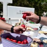 Βορίδης στον ΣΚΑΪ: Αχρείαστη η συγκέντρωση του Ράμα, δεν έχει καμία προστιθέμενη αξία ούτε για τον ίδιο