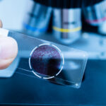 Νίκος Δένδιας: Το διακύβευμα των ευρωεκλογών είναι να μην ανακοπεί η ευρωπαϊκή πορεία της χώρας