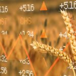 Νεκρός 40χρονος οδηγός μηχανής σε τροχαίο στη Σκιάθο