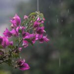 Οι δύο αλλαγές στην κυβέρνηση, οι τριπλές κάλπες και η εταιρεία που διαψεύδει ότι θα φύγει από την Ελλάδα