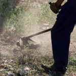 Χρήσιμες πληροφορίες πριν την έναρξη των Πανελληνίων – Τι πρέπει να έχουν μαζί τους οι υποψήφιοι