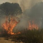 Συλλήψεις 8 παράνομων αποκλειστικών νοσοκόμων σε κεντρικό Νοσοκομείο της Αθήνας