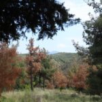 Αγωνία για τον Αμερικανό αστυνομικό που αγνοείται στην Αμοργό – Το τελευταίο μήνυμα που έστειλε στην αδερφή του