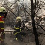 Εύβοια: Πύρινο μέτωπο στην Κάρυστο