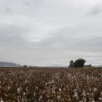 Νυχτερινό ρεύμα: οι αλλαγές και το όφελος για τους καταναλωτές