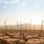 E.E.: Εγκρίθηκε το πρώτο ψήφισμα για την κοινωνική συμμετοχή στην πρωτοβάθμια φροντίδα υγείας Μιχάλης Ματσίγκος