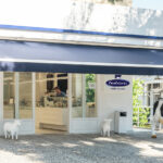 Το κόμμα της Λεπέν είναι το δημοφιλέστερο στη Γαλλία – Δεν παραιτείται από την προεδρία ο Μακρόν