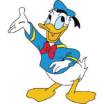 Συναγερμός στον Πειραιά – Αυτοκίνητο έπεσε μέσα στο λιμάνι