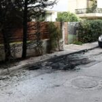 Όλα όσα πρέπει να γνωρίζουμε για τη λεύκη Νατάσα Στασινού