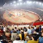 Ξεριζώθηκαν δέντρα στη Βέροια από καλοκαιρινό μπουρίνι – Χωρίς ρεύμα αρκετές περιοχές