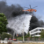 Φθιώτιδα: Θαλάσσια ανεμώνη τσίμπησε τετράχρονη σε παραλία – «Ούρλιαξε από τον πόνο» 