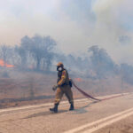 Σκρέκας: Δώσαμε πολλές και δύσκολες μάχες για την ακρίβεια – Θεοδωρικάκος: Θεμιτό το κέρδος, η αισχροκέρδεια όχι