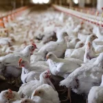 «Καμπανάκι» από την Πυροσβεστική για περιστατικά οικονομικής εξαπάτησης με οικονομικές συναλλαγές με το Σώμα