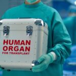 Μαθητές και καθηγητής γυμνασίου στο Ρέθυμνο έφτιαξαν σεισμογράφο