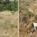 Ατρόμητος: Η βολιδοσκόπηση σε Καρλίτος και η περίπτωση του Φαν Βέερτ