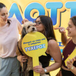 Χίος: Πυρκαγιά σε δασική έκταση κοντά στην παραλία Βικίου