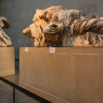 Άρθρο του Κ. Μητσοτάκη στη «Ν»: Με αιχμή τις επενδύσεις, «σταθερά, πιο κοντά στην Ευρώπη»