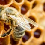 Η Μαλαισία ηγέτης στα κέντρα δεδομένων της Νοτιοανατολικής Ασίας